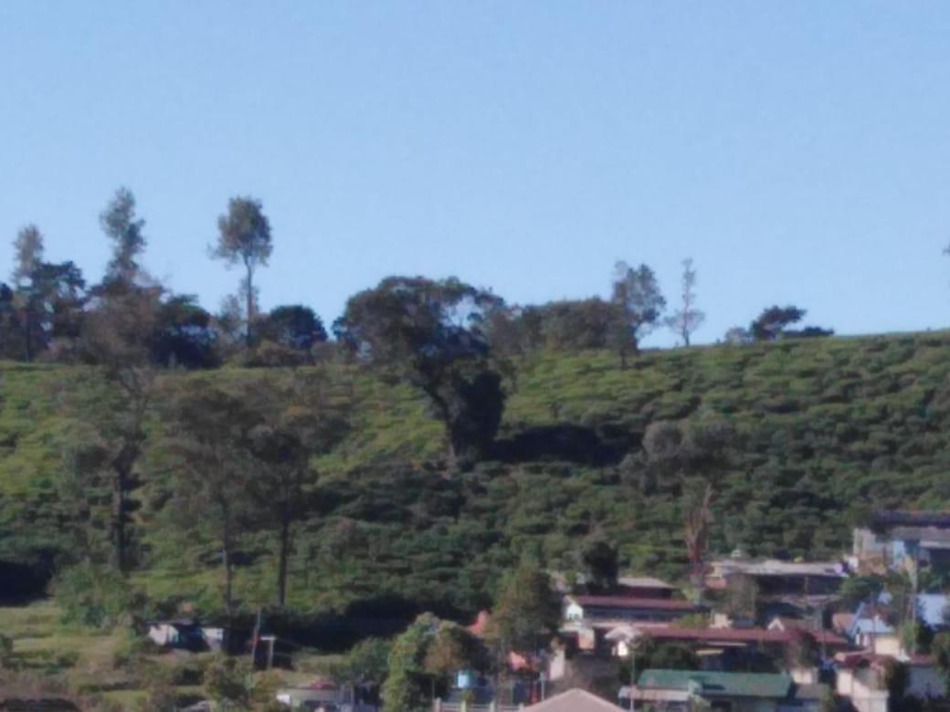 Frosty Heaven Guest House Nuwara Eliya Exterior photo